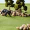 Mini Green Grass Mat by ArtMinds™